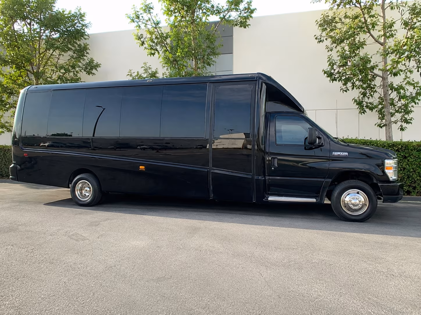 birthday party minibus rentals for smaller san mateo groups