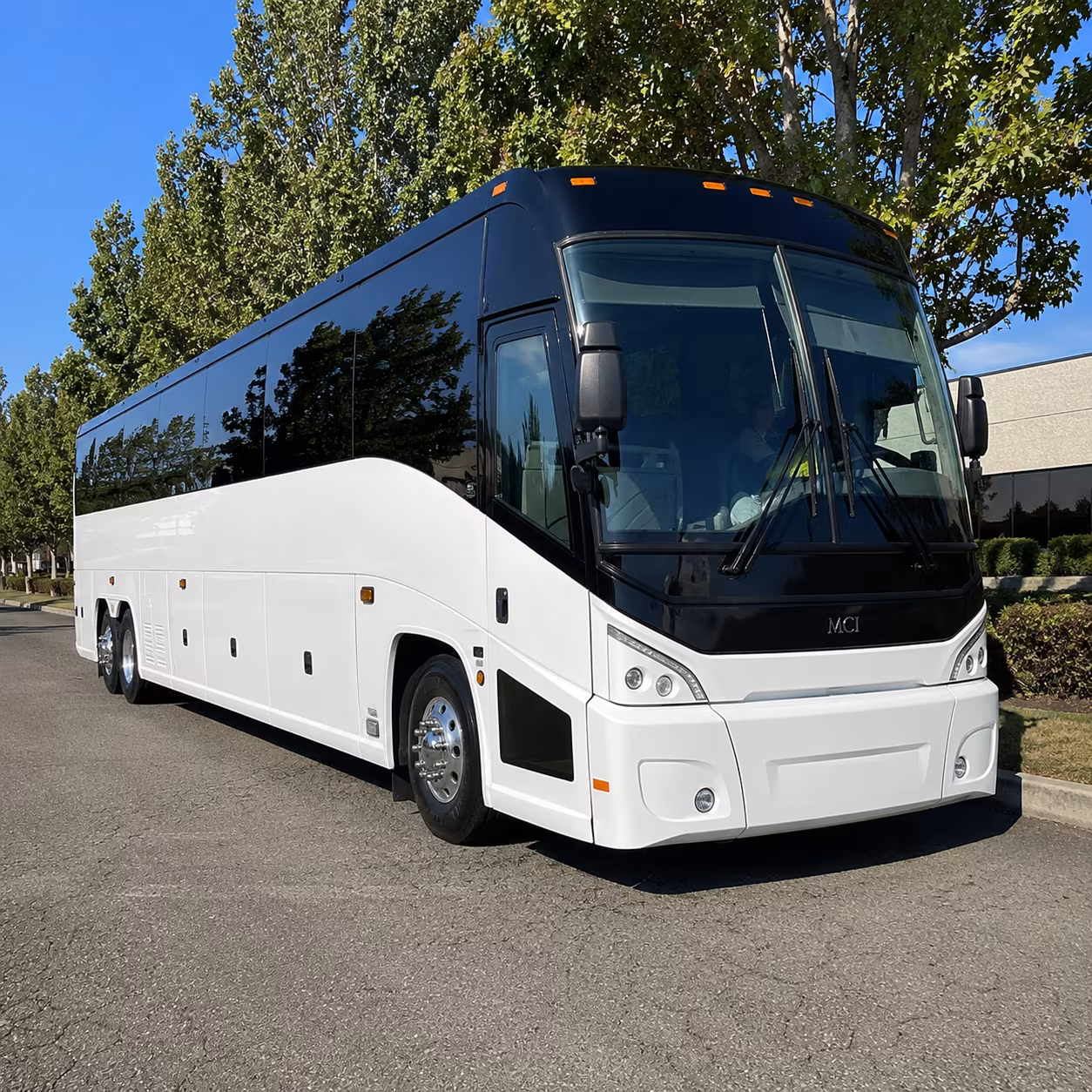 san mateo 50 passenger charter bus